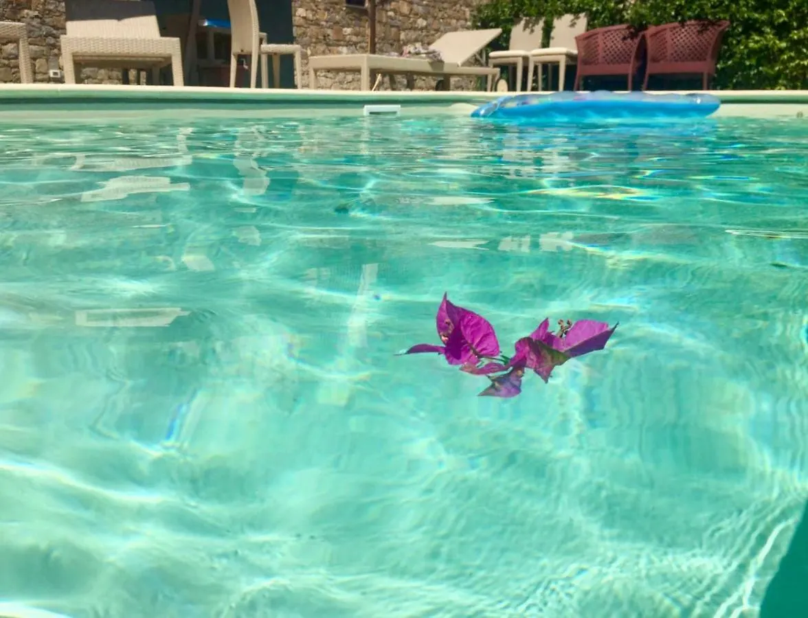 Villa Garbella Imperia Holiday home