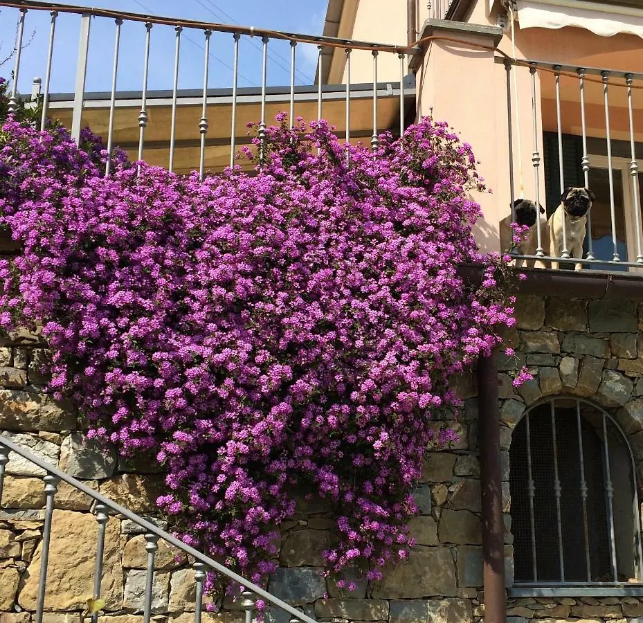 Prázdninový dům Villa Garbella Imperia